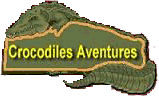 Crocodile aventures
